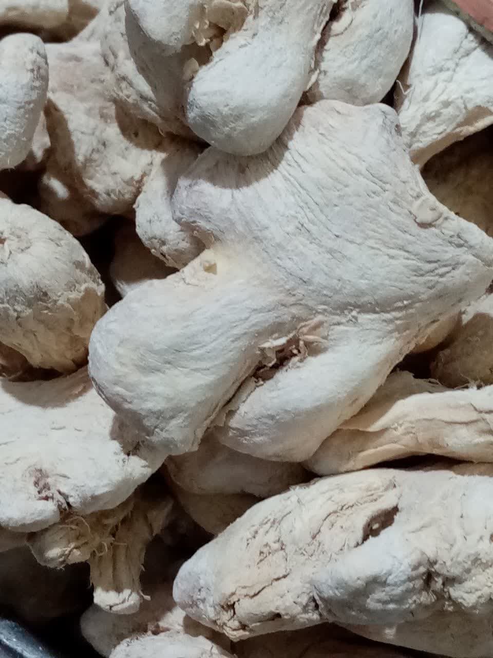 محصول زنجبیل ناکوب /آسیابی ،گنجینه فاضل .آیریا گنجینه بیاضه .490400، وزن سفارش شما / وزن عمومی 200گرمی ، ذرت پفیلای فاضل با ادویه مخصوص کچاپ، فاضل نیشابور،09126049747