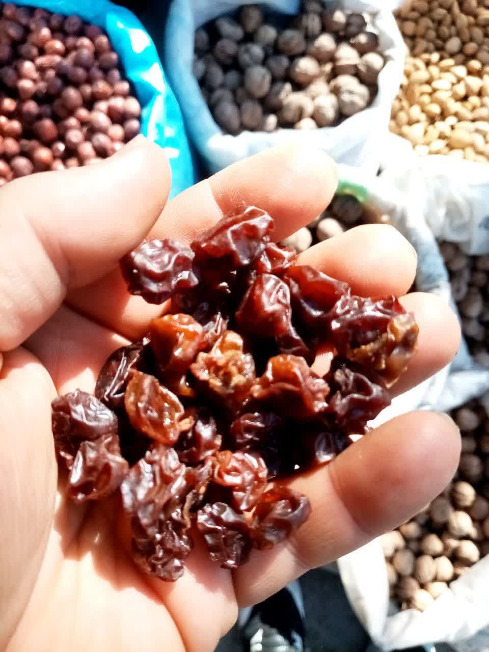 محصول آلوی نیلک ، آلوچه،گنجینه فاضل .آیریا گنجینه بیاضه .490400، وزن سفارش شما / وزن عمومی سفارش شما، ، فاضل نیشابور،09126049747