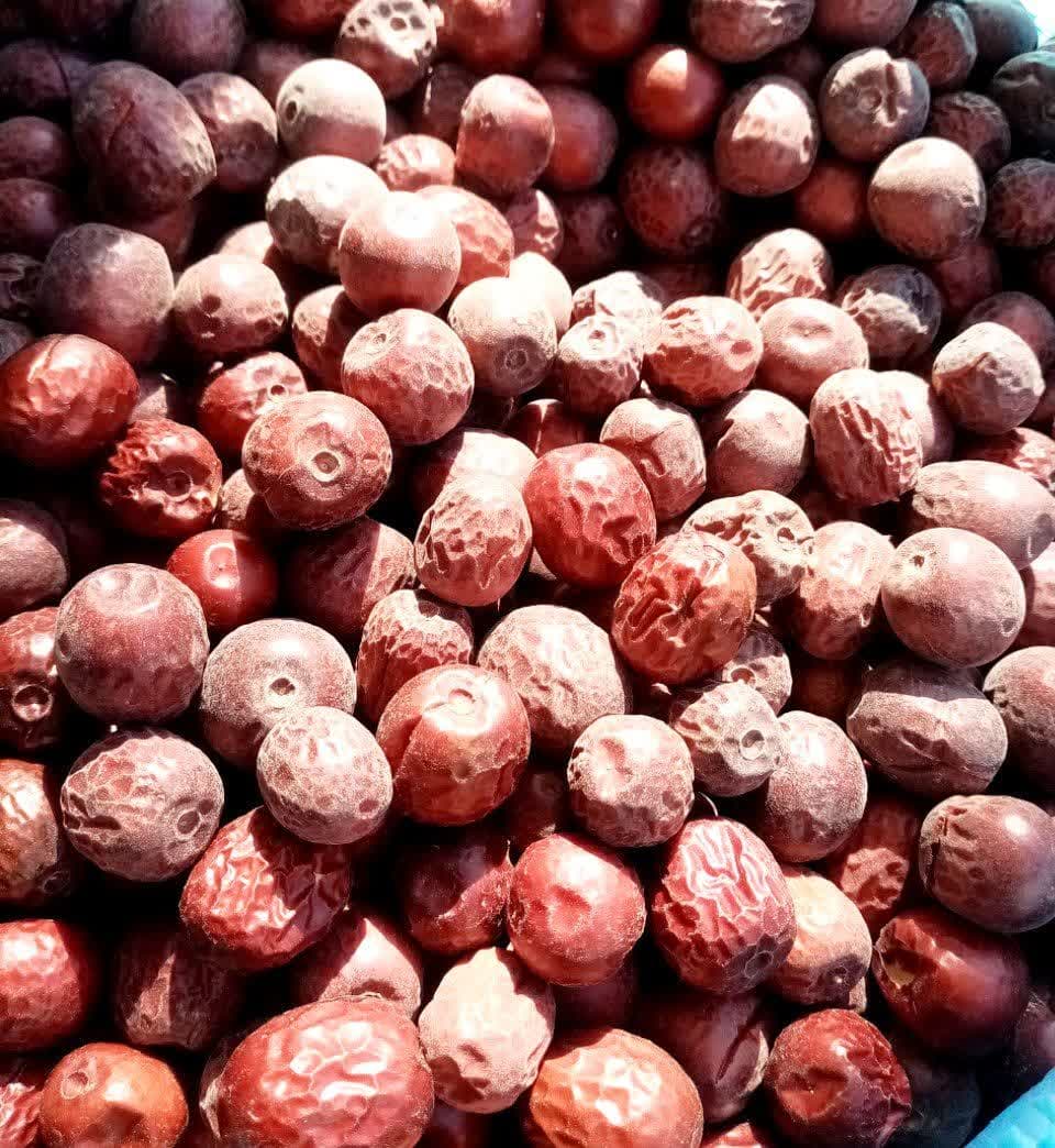 محصول عناب تازه،و خشک،گنجینه فاضل .آیریا گنجینه بیاضه .490400، وزن سفارش شما / وزن عمومی سفارش شما، ، فاضل نیشابور،09126049747