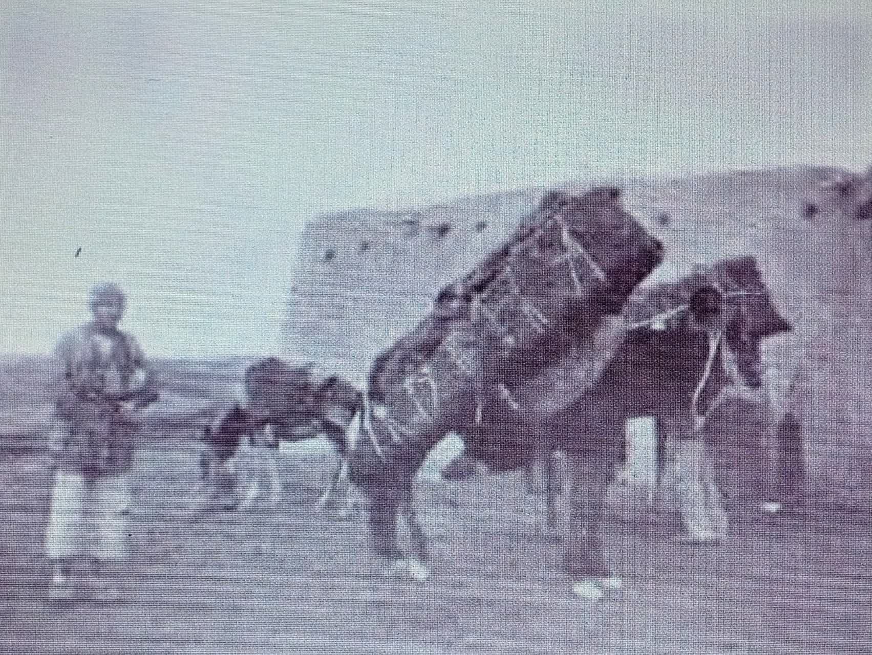 سوگنامه ایران .چوپانان.فاضل.تاریخ بیابانک.1404 محمد رضا فاضلی مطلب :وصیت سپرده